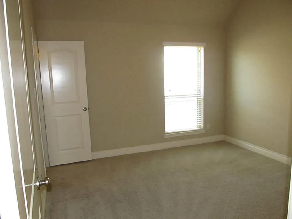 14104 Green Thicket Drive Pearland, TX 77584