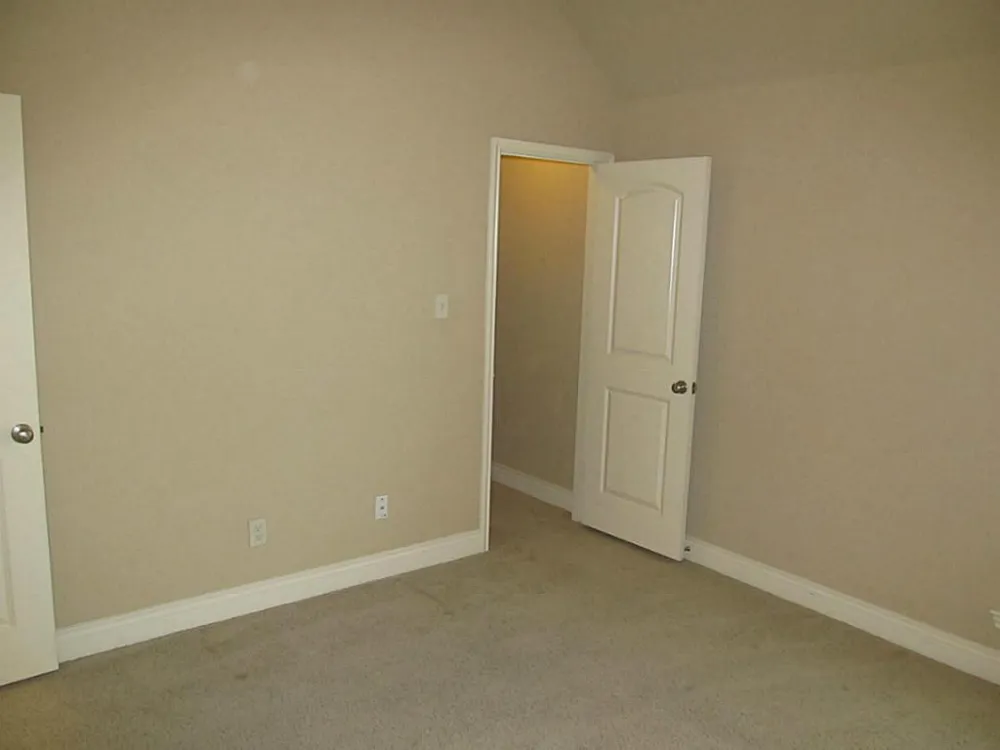 14104 Green Thicket Drive Pearland, TX 77584