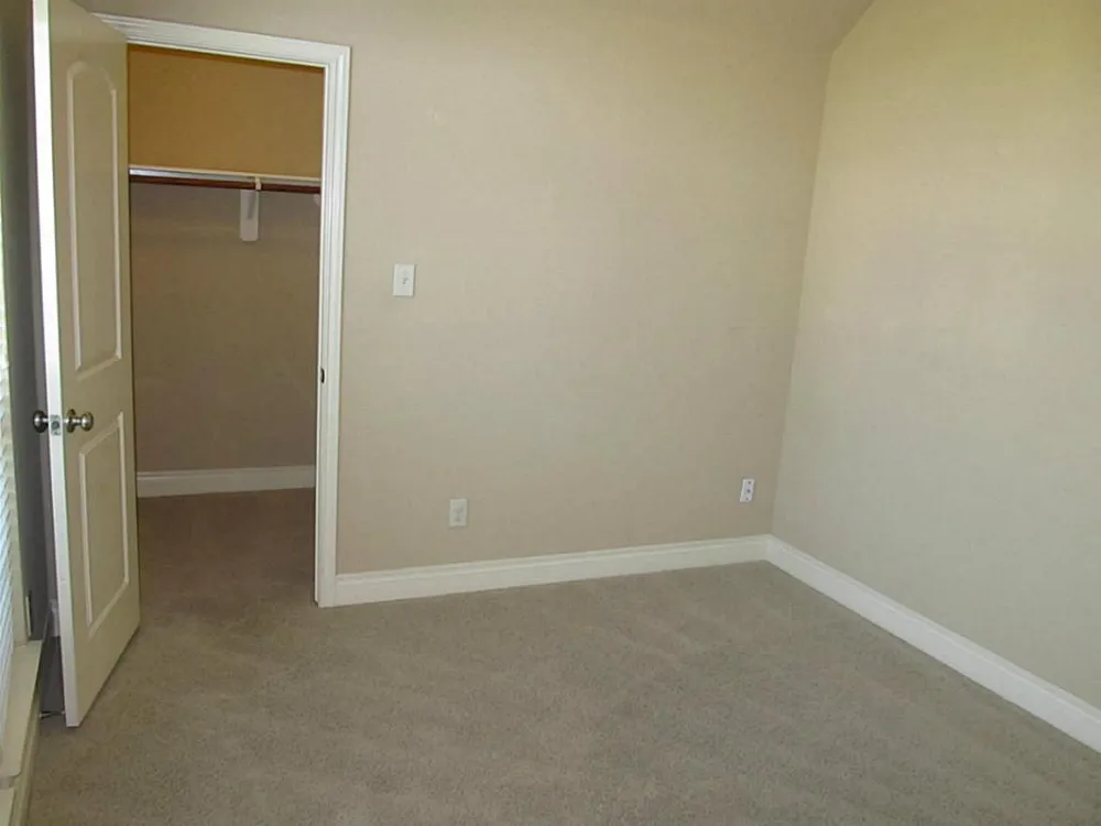 14104 Green Thicket Drive Pearland, TX 77584