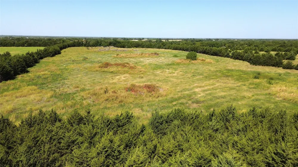 County Road 635 Blue Ridge, TX 75424