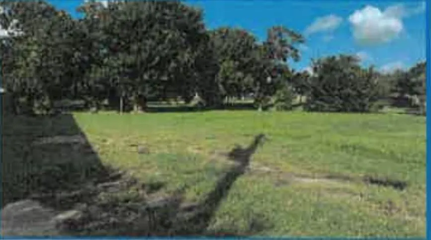 202 Texas Parkway Missouri City, TX 77489
