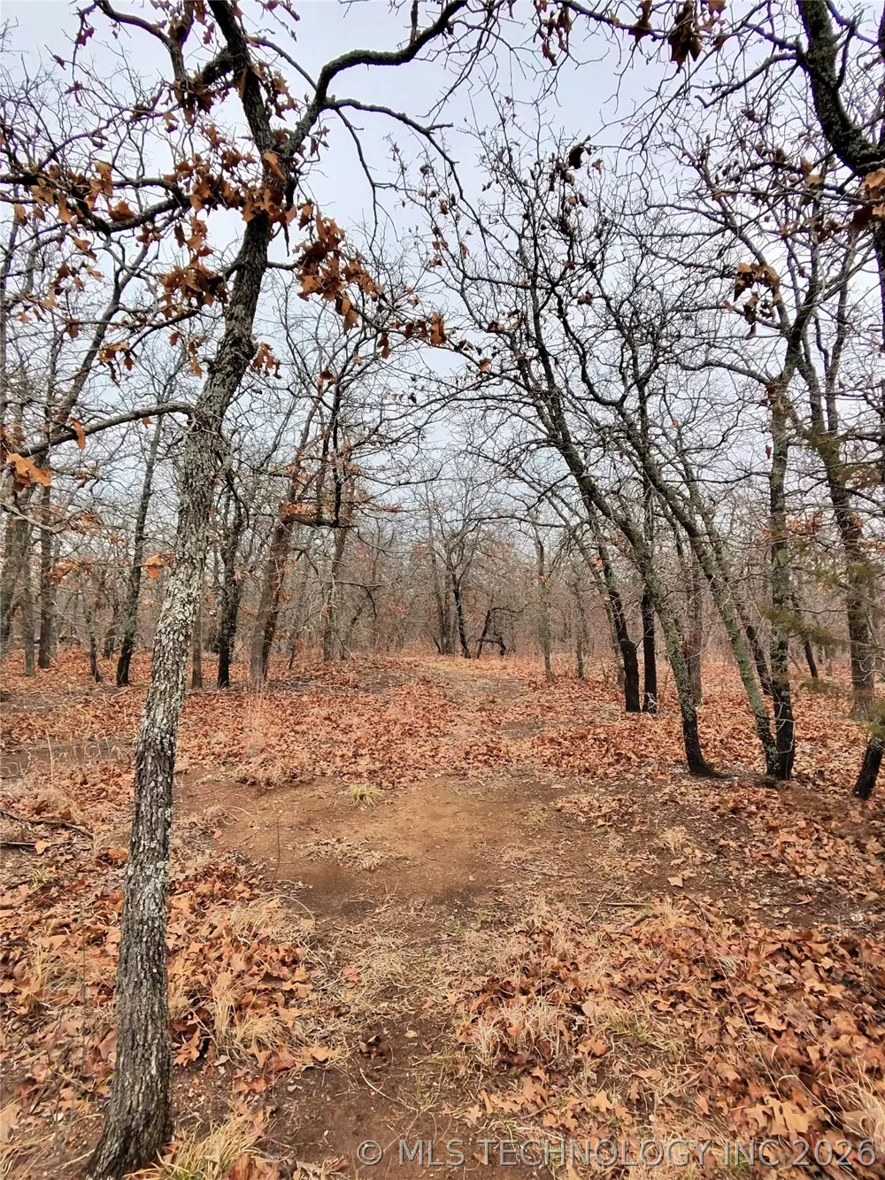 County Road 1600 Wynnewood, OK 73098
