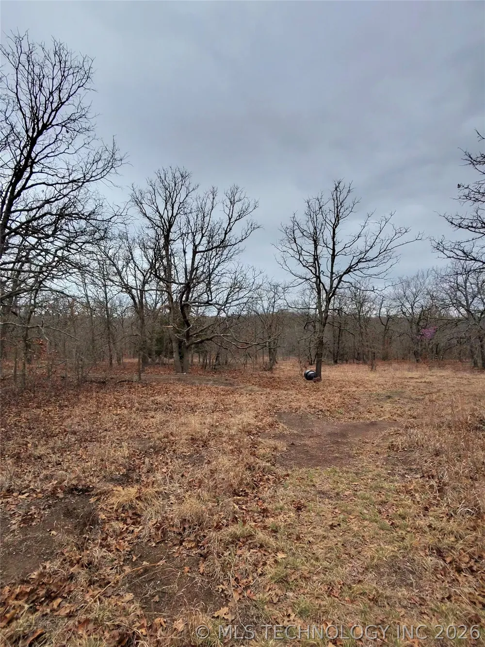 County Road 1600 Wynnewood, OK 73098