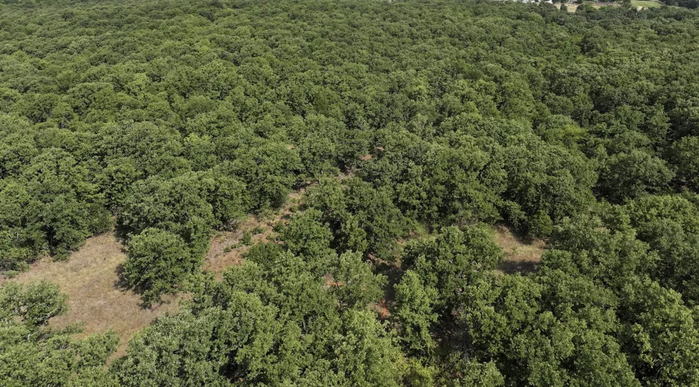 County Road 1600 Wynnewood, OK 73098