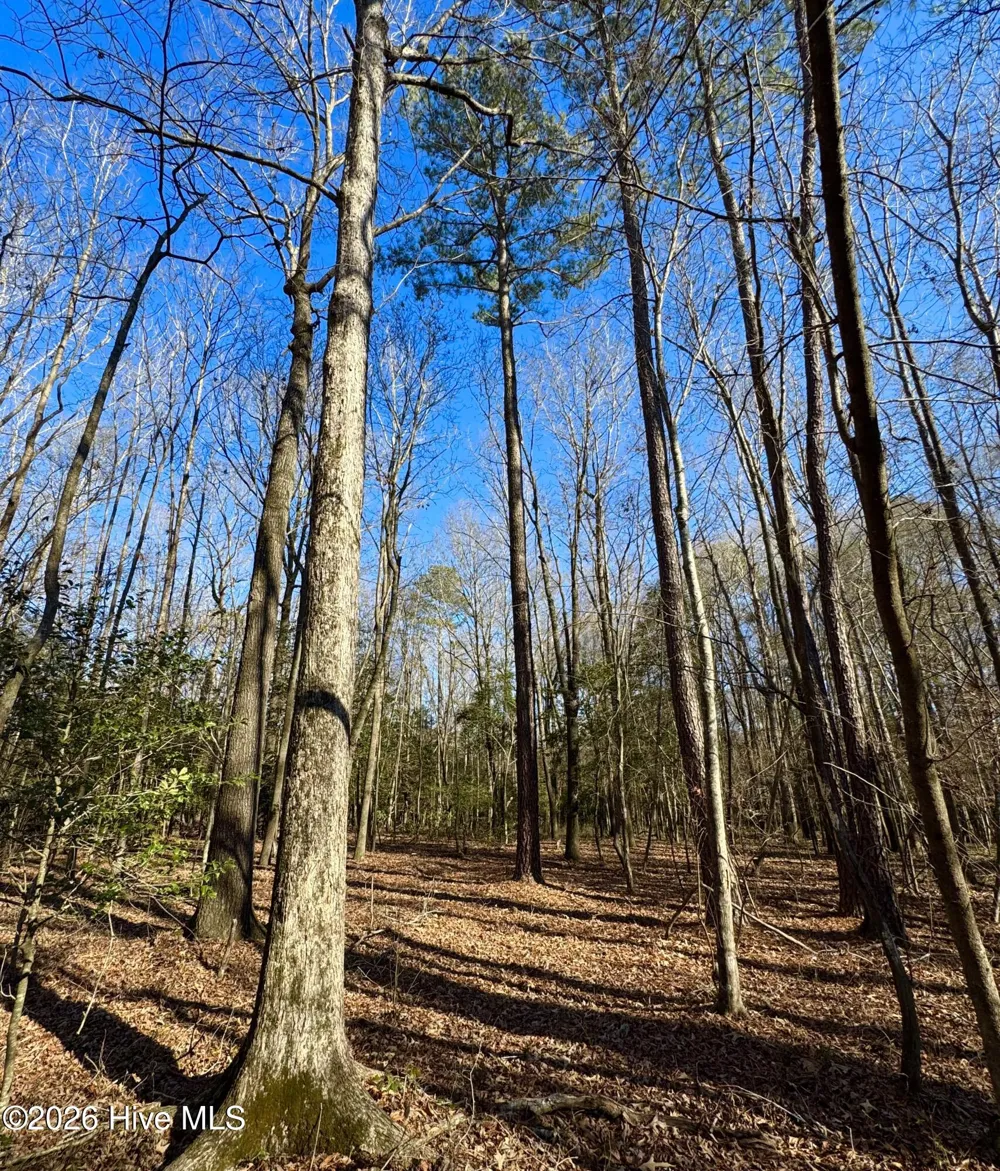0 Fred Circle S Kenly, NC 27542