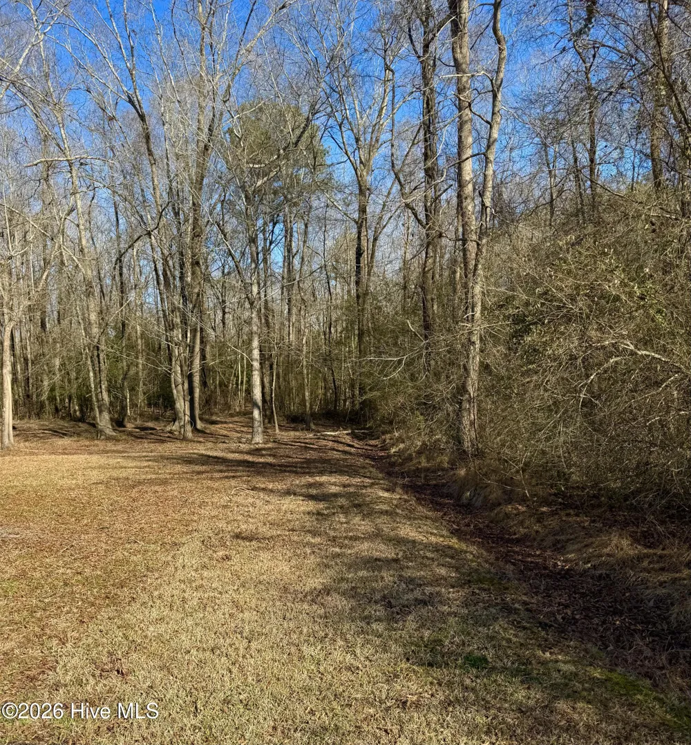 0 Fred Circle S Kenly, NC 27542