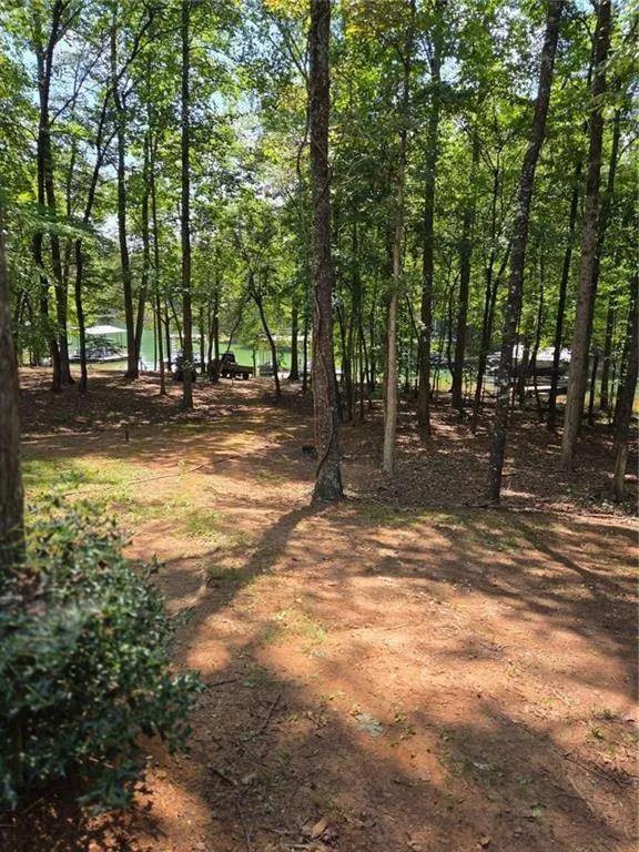 984 Overlook Drive Dawsonville, GA 30534