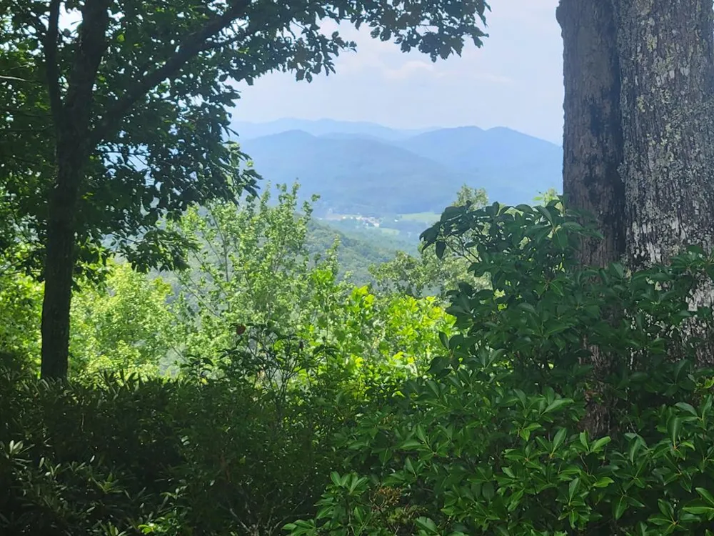 Lot 24 Double Knob Drive E Hayesville, NC 28904
