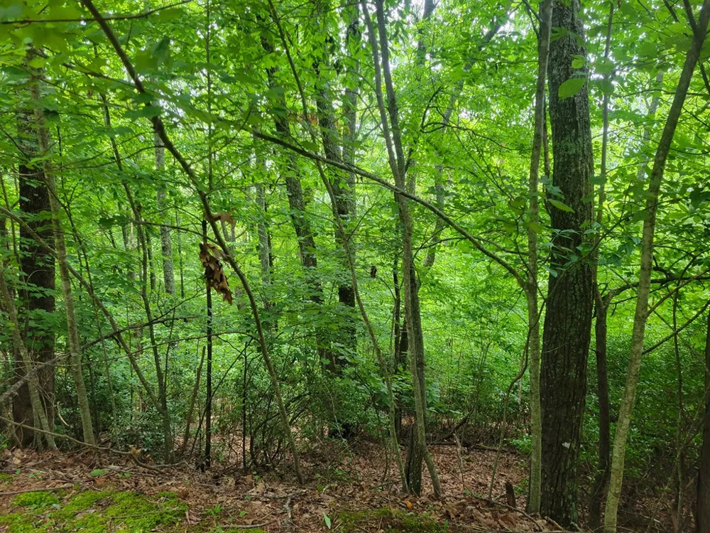 Lot 24 Double Knob Drive E Hayesville, NC 28904