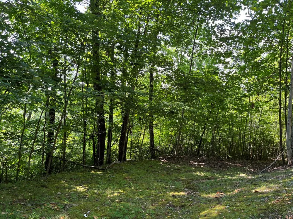 Lot 24 Double Knob Drive E Hayesville, NC 28904