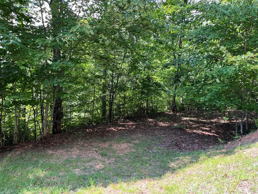 Lot 24 Double Knob Drive E Hayesville, NC 28904