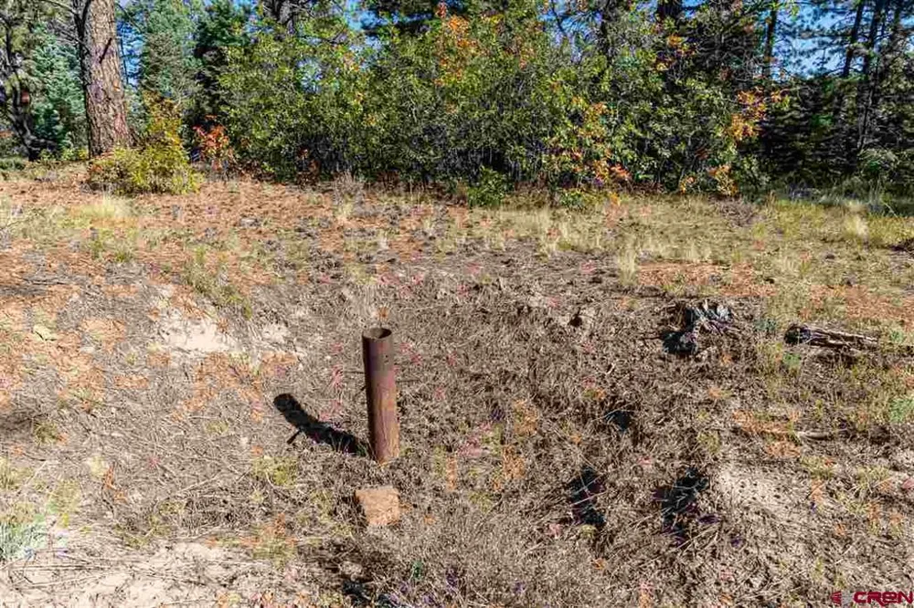 307 Nature's Way Pagosa Springs, CO 81147