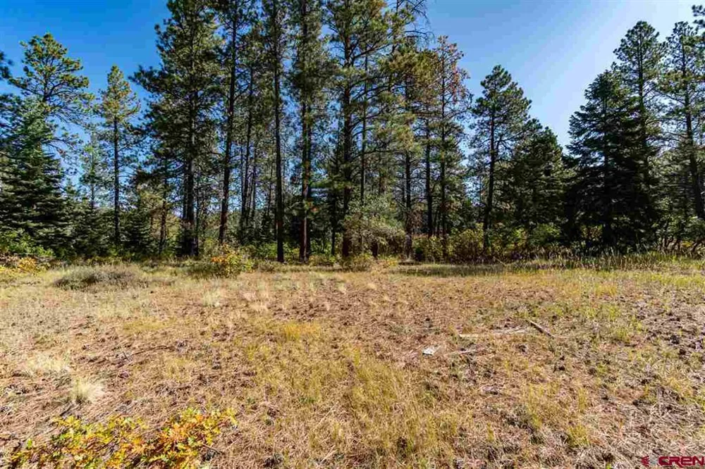 307 Nature's Way Pagosa Springs, CO 81147