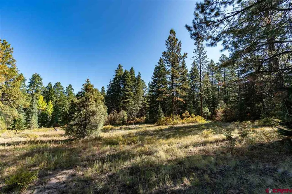 307 Nature's Way Pagosa Springs, CO 81147