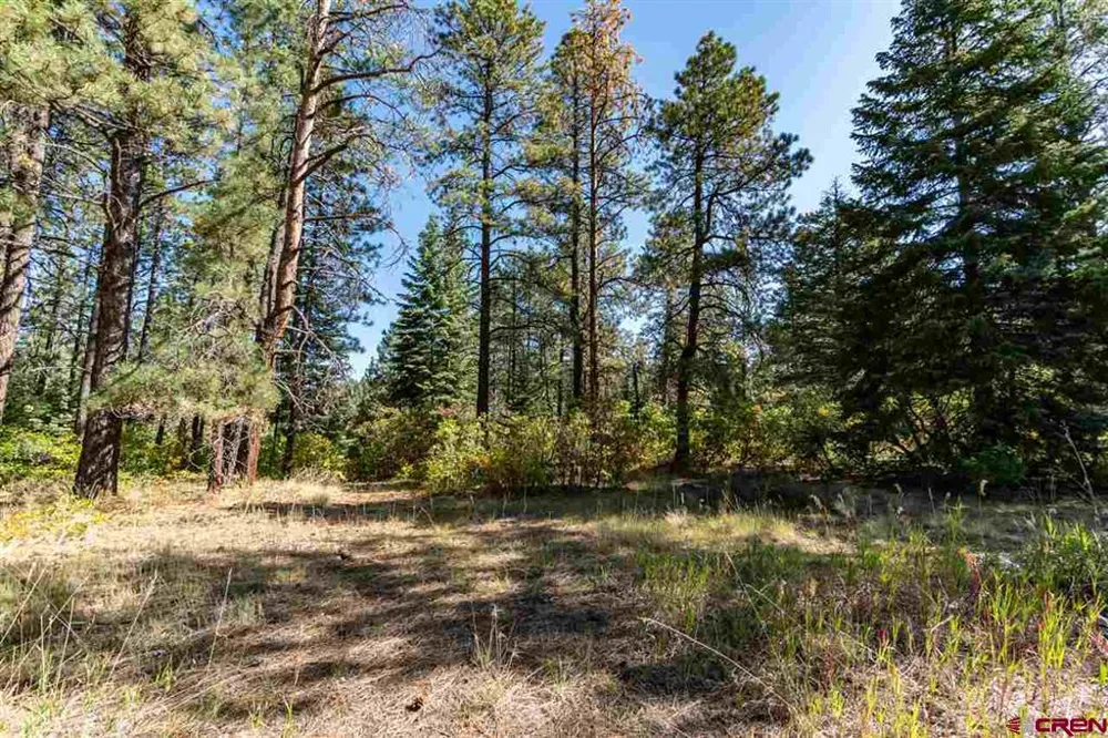 307 Nature's Way Pagosa Springs, CO 81147