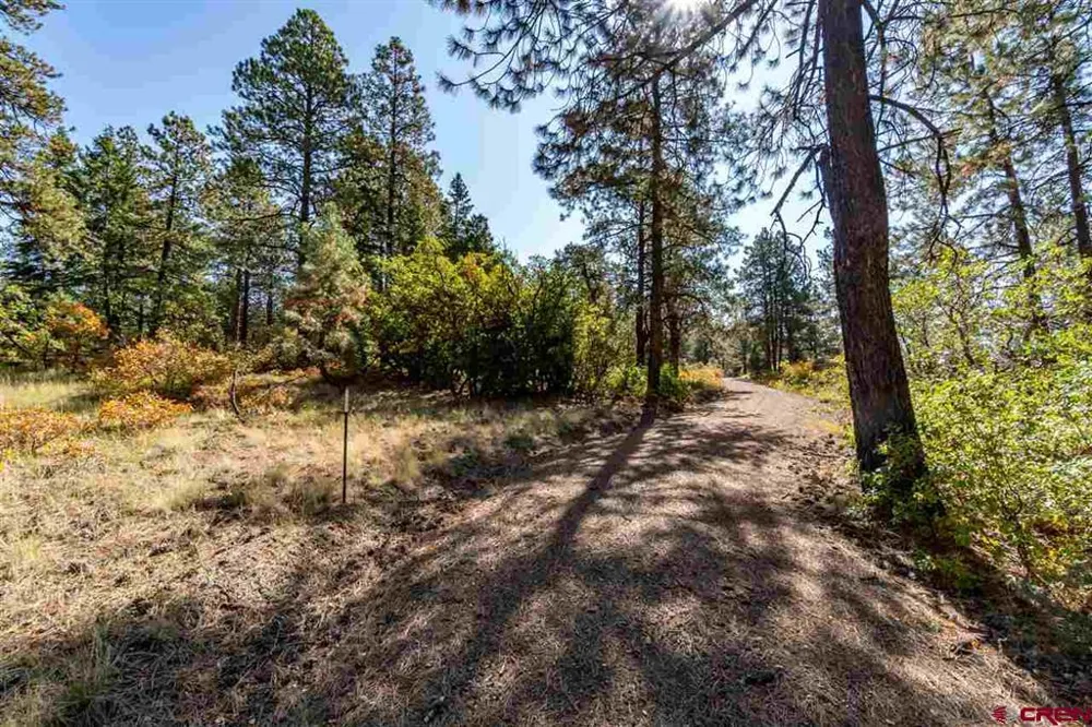 307 Nature's Way Pagosa Springs, CO 81147