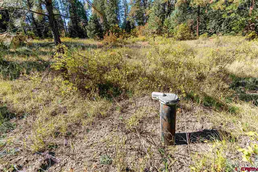 307 Nature's Way Pagosa Springs, CO 81147