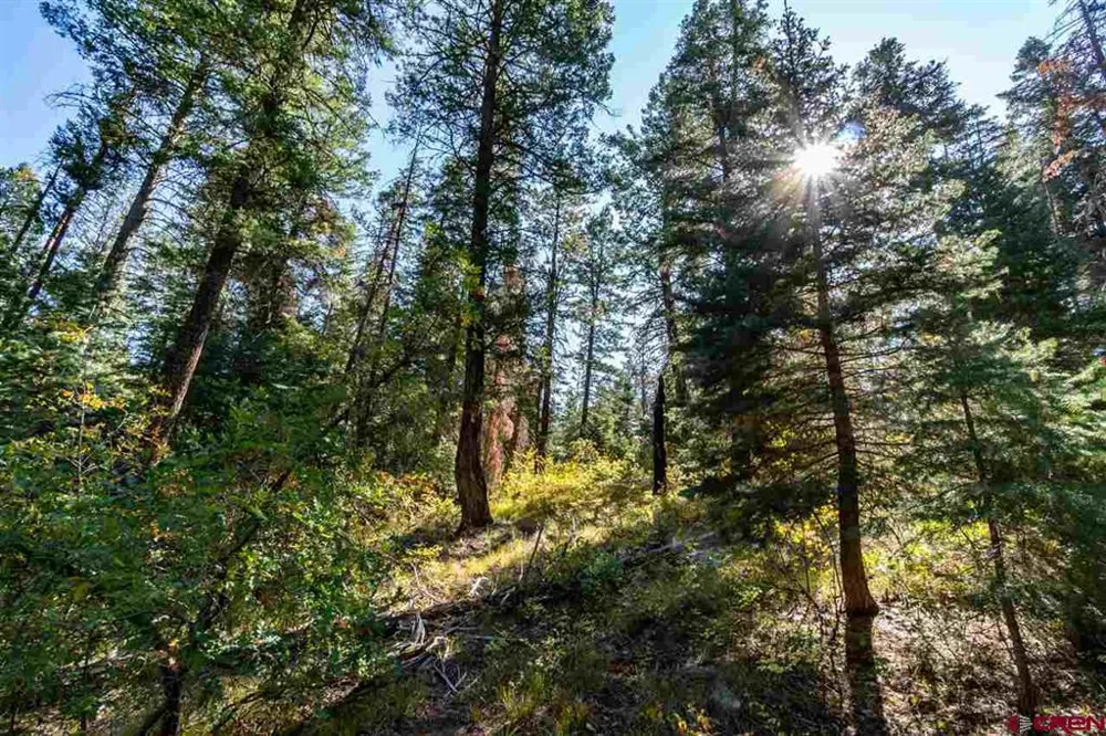 307 Nature's Way Pagosa Springs, CO 81147