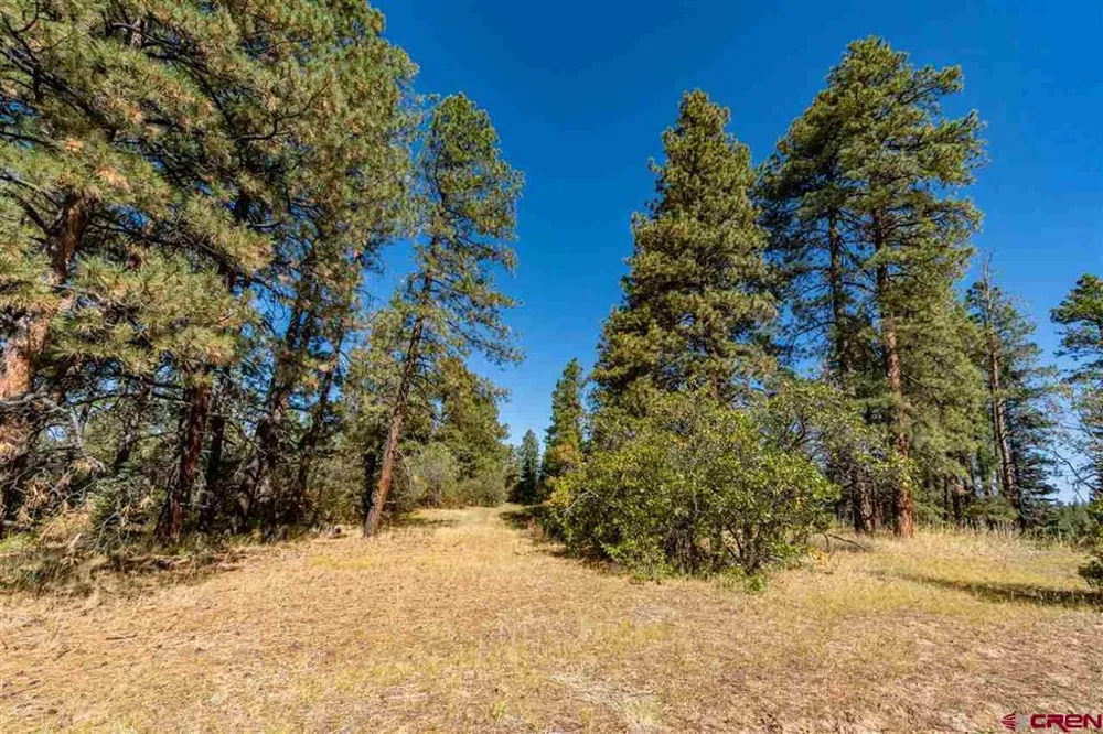 307 Nature's Way Pagosa Springs, CO 81147
