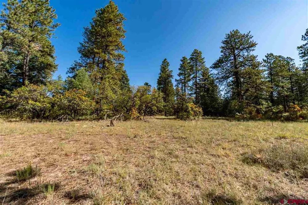 307 Nature's Way Pagosa Springs, CO 81147
