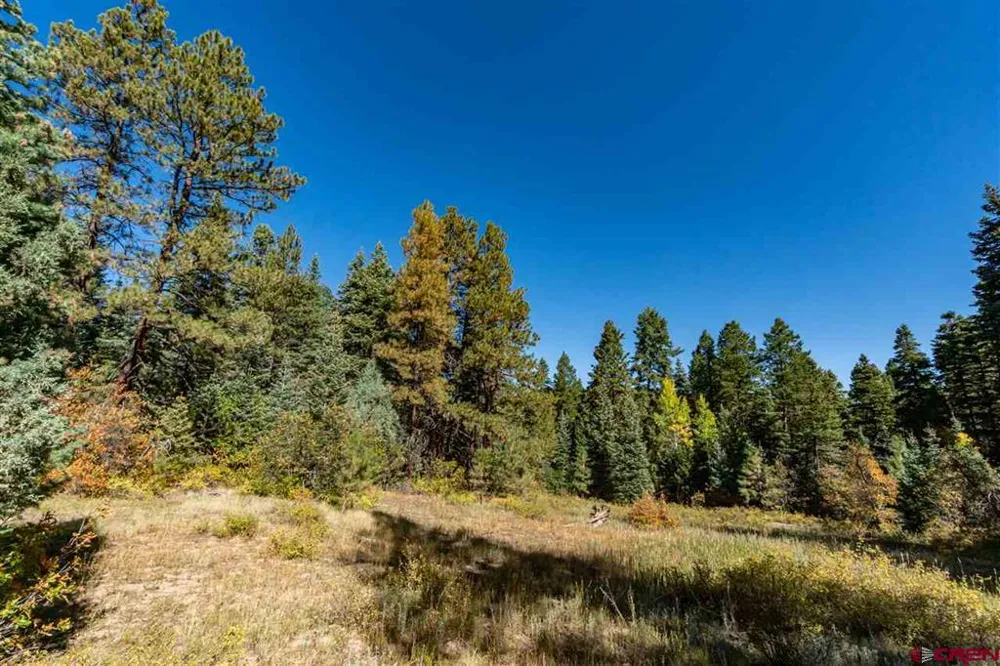 307 Nature's Way Pagosa Springs, CO 81147