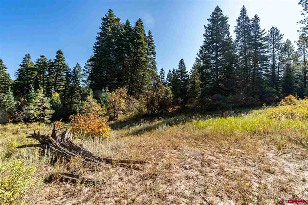 307 Nature's Way Pagosa Springs, CO 81147