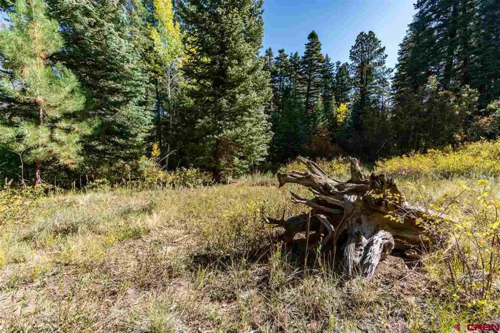 307 Nature's Way Pagosa Springs, CO 81147
