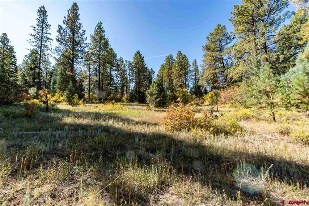 307 Nature's Way Pagosa Springs, CO 81147