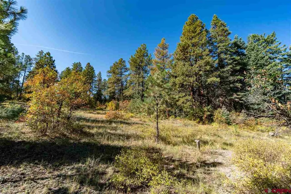 307 Nature's Way Pagosa Springs, CO 81147
