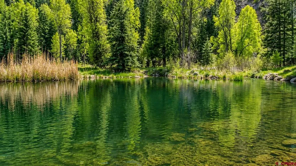 455 River Ranch Circle Bayfield, CO 81122
