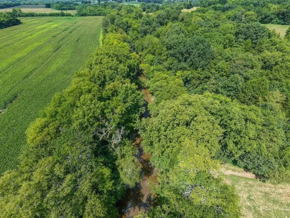 121 Wartrace Creek Rd Wartrace, TN 37183