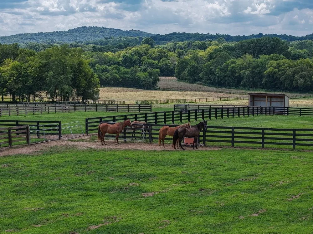 121 Wartrace Creek Rd Wartrace, TN 37183