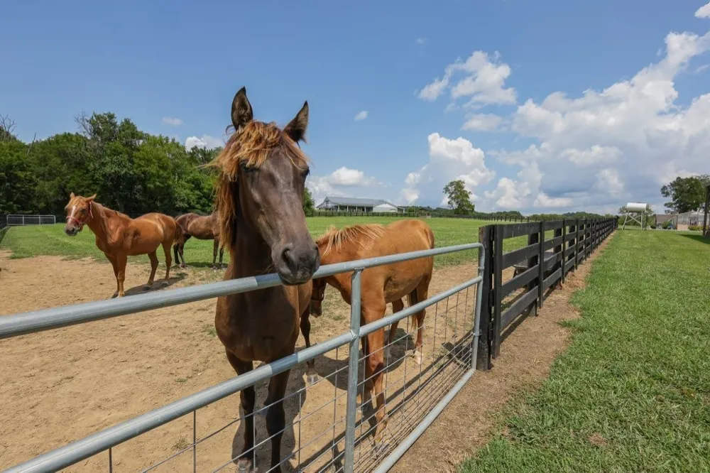 121 Wartrace Creek Rd Wartrace, TN 37183