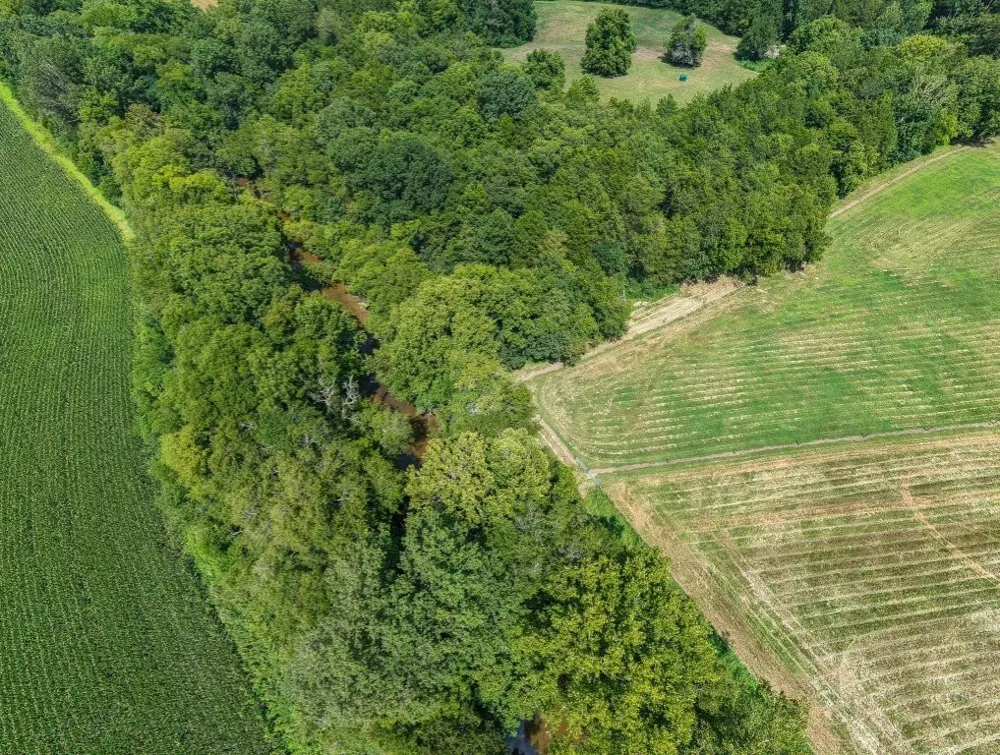 121 Wartrace Creek Rd Wartrace, TN 37183