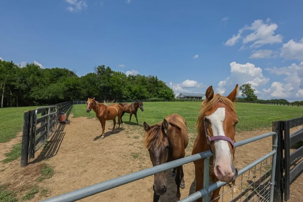 121 Wartrace Creek Rd Wartrace, TN 37183