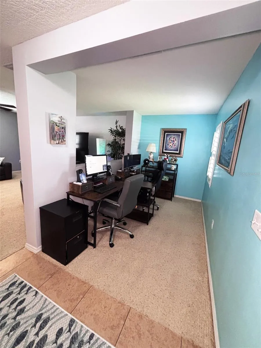 552 AEOLIAN DRIVE New Smyrna Beach, FL 32168