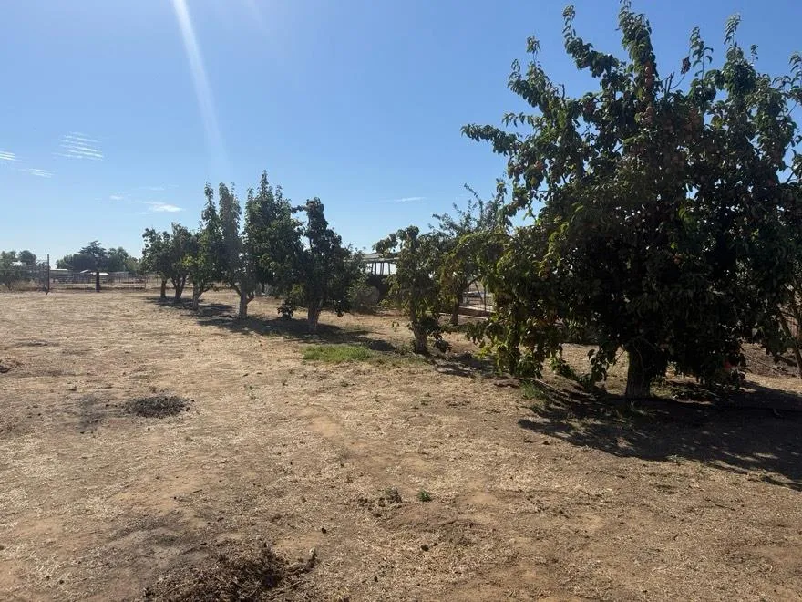 19780 Avenue 22 1/2 Chowchilla, CA 93610