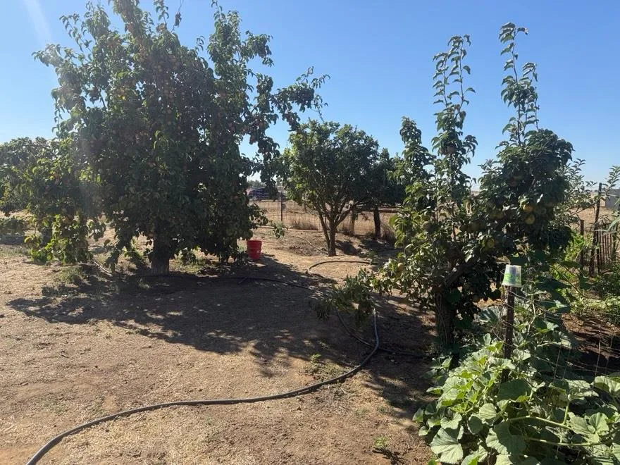 19780 Avenue 22 1/2 Chowchilla, CA 93610