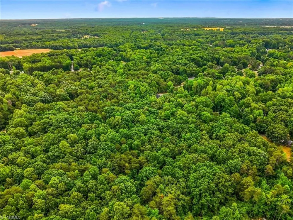 00 Plaza Drive Burlington, NC 27217
