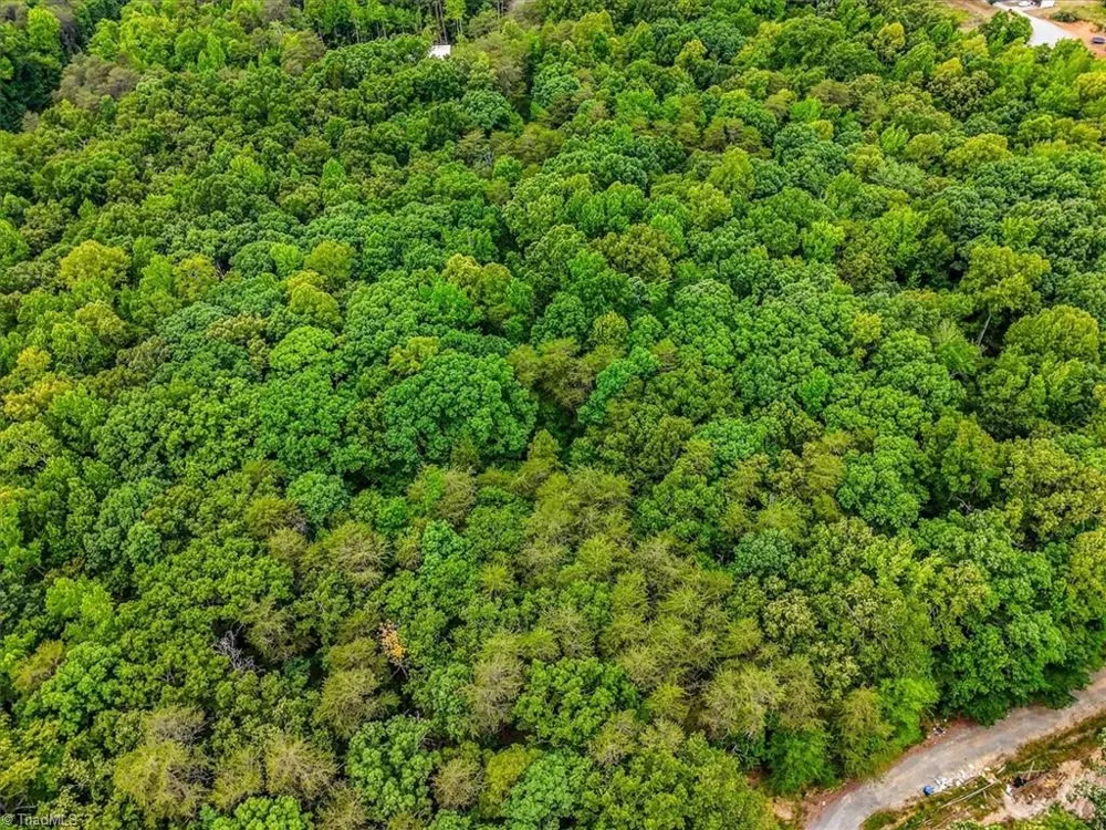00 Plaza Drive Burlington, NC 27217