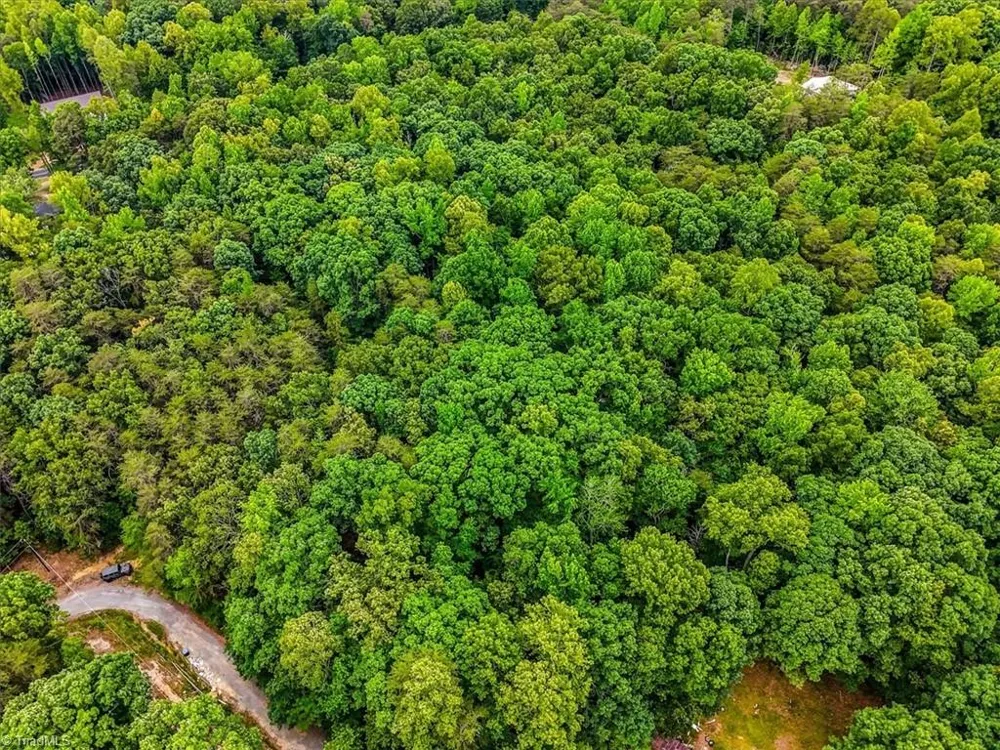 00 Plaza Drive Burlington, NC 27217