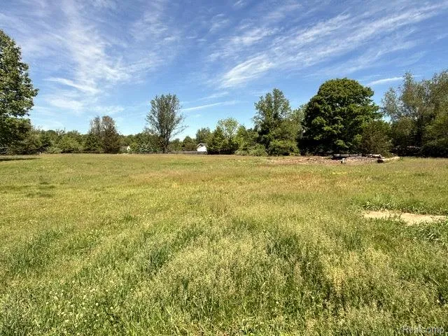 6080 Cedar Lake Road Putnam Township, MI 48169