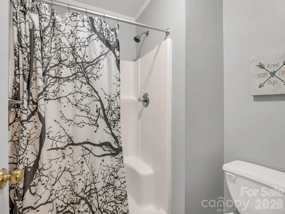 108 Nuthatch Trace Brevard, NC 28712
