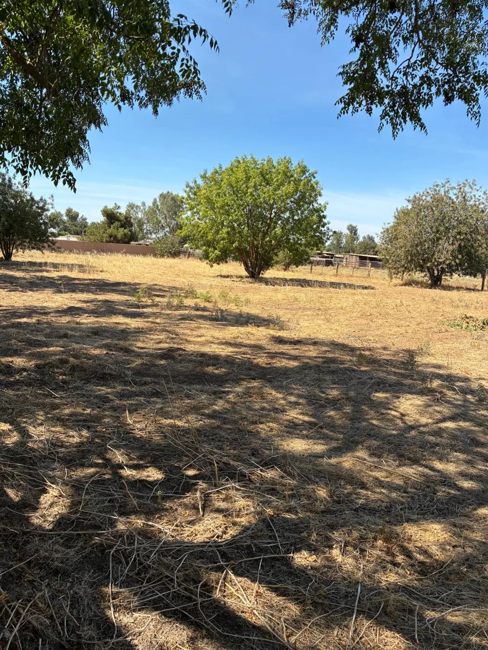 28686 Avenue 13 1/2 Madera, CA 93638
