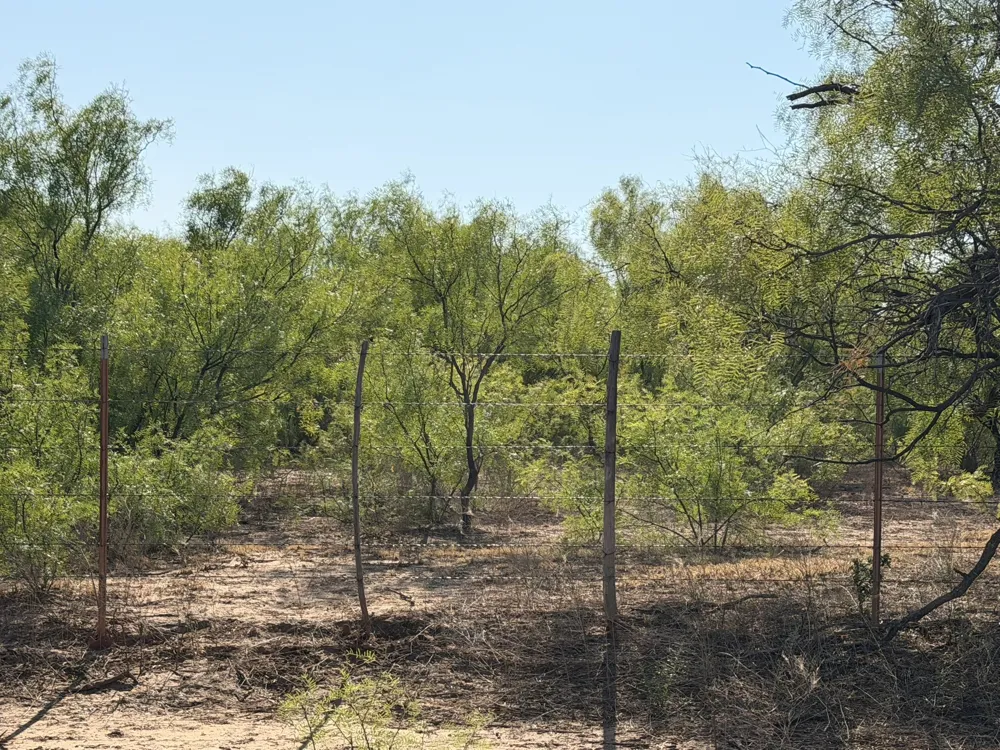 County Road M Childress, TX 79201