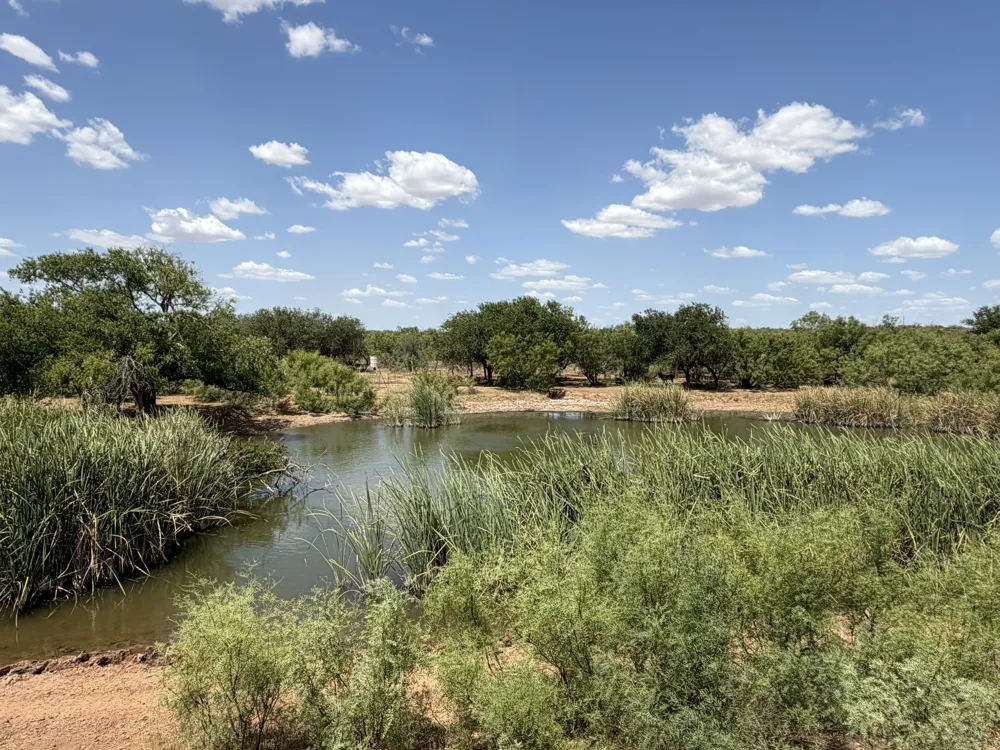 County Road M Childress, TX 79201