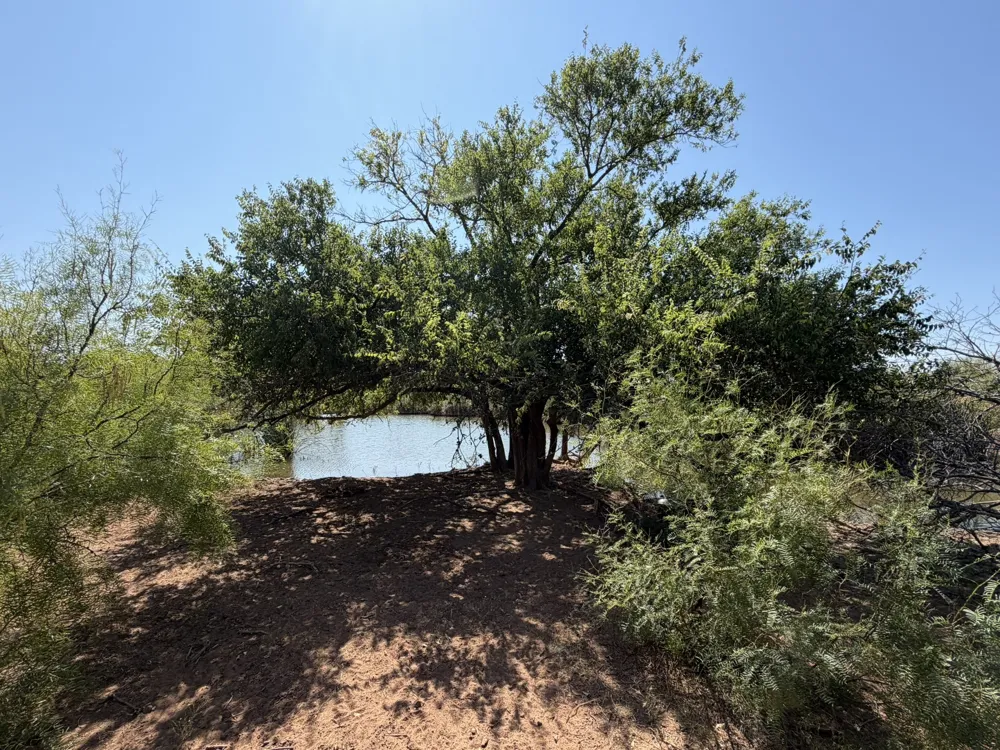 County Road M Childress, TX 79201