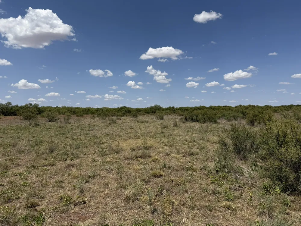County Road M Childress, TX 79201