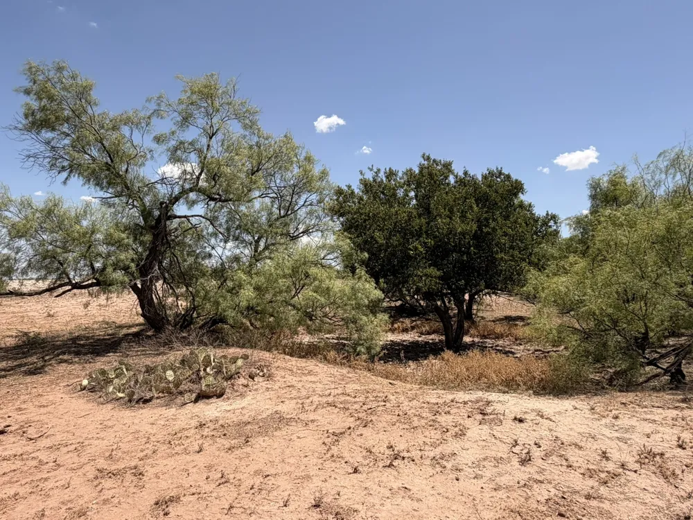 County Road M Childress, TX 79201