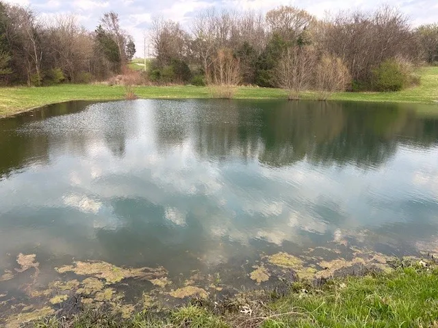 1380 Haley Rd Watertown, TN 37184